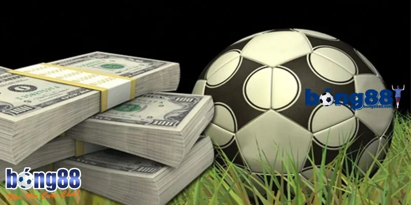 Chuyên mục hữu ích dành cho mọi đối tượng