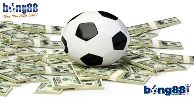 Lưu ý để lựa chọn phương án cá độ luôn đúng