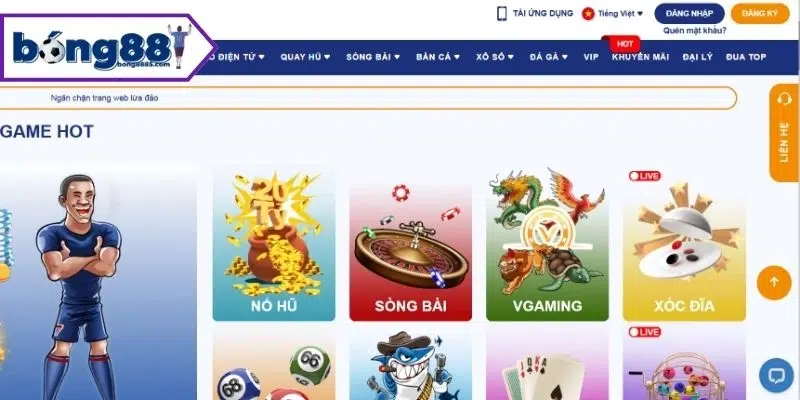 Truy cập đúng website Bong88 khi đăng nhập